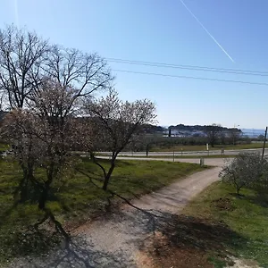 Guesthouse Porec Affittacamere